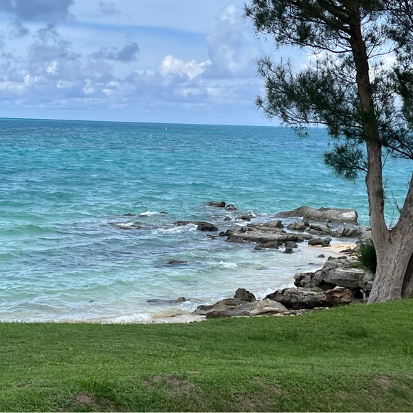 Meet your Posher, Cathy - Picture 2 of 7